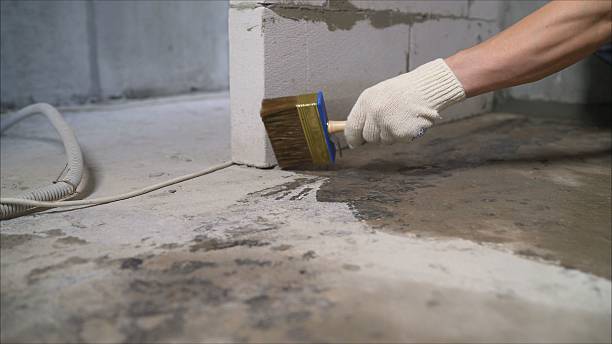 SJ Waterproofing Pros Waterproofing coverage map for Troy, TN and surrounding area